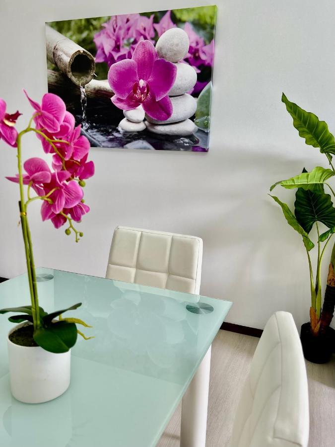 Apartament Santa Catarina By Ola Madeira Funchal  Zewnętrze zdjęcie